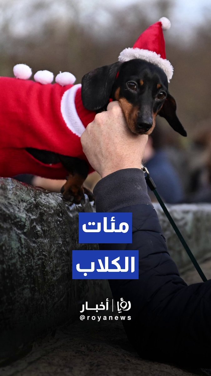 مئات الكلاب تشارك في مسيرة عيد الميلاد السنوية في هايد بارك 