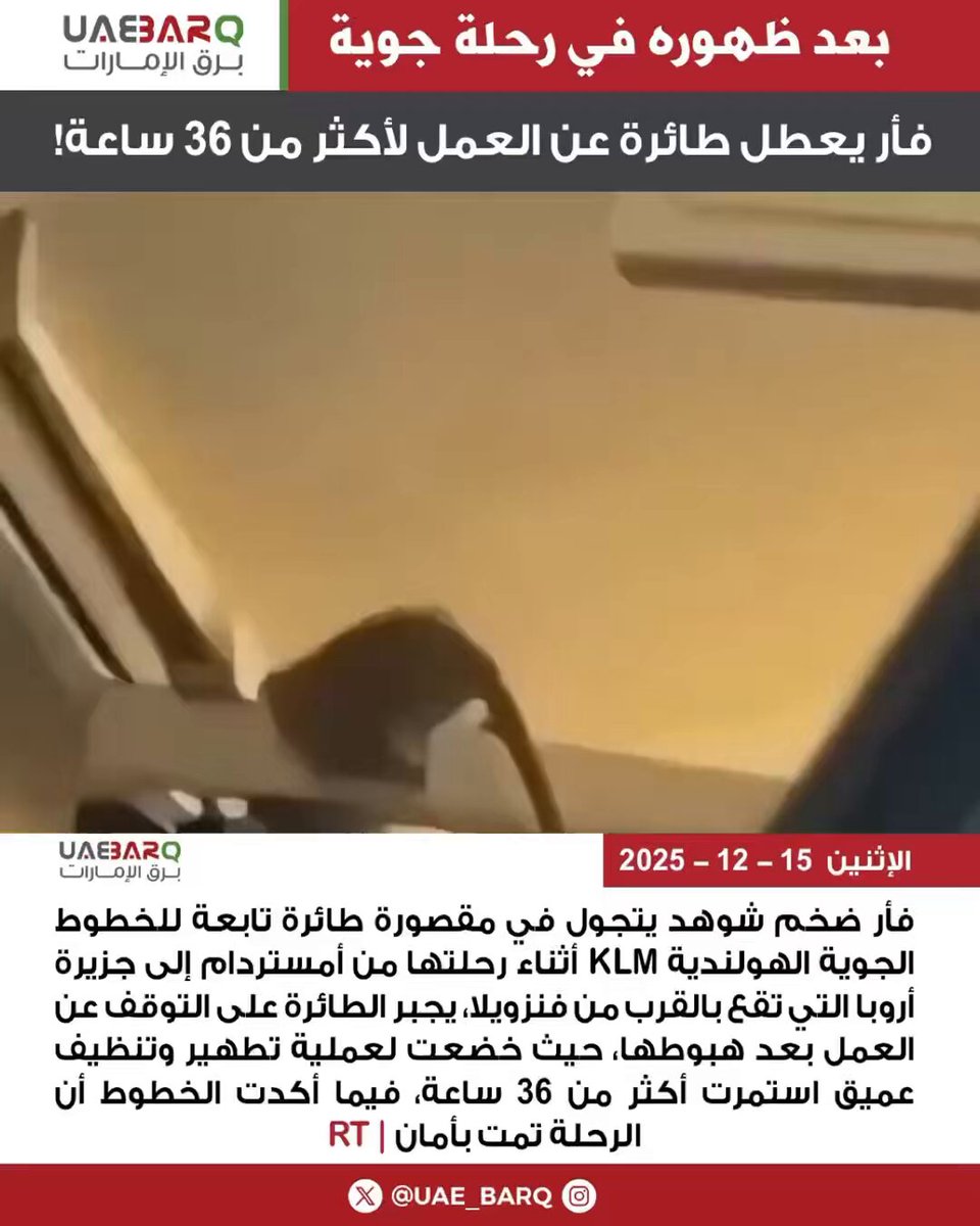 بعد ظهوره في رحلة جوية.. فأر يعطل طائرة عن العمل لأكثر من 36 ساعة! | RT 