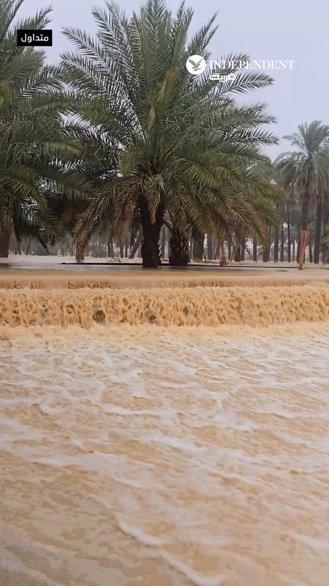 مشاهد متداولة توثق السيول والفيضانات في المجمعة، إحدى محافظات منطقة الرياض في السعودية، نتيجة الأمطار الغزيرة. 