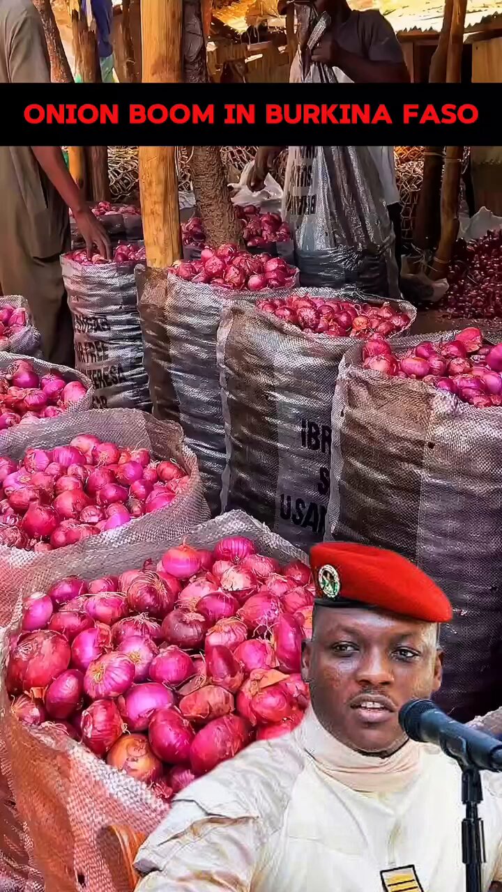 Typical African (@Joe__Bassey) on X