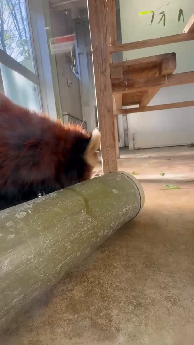 rinko (@mii07130) / Posts / X