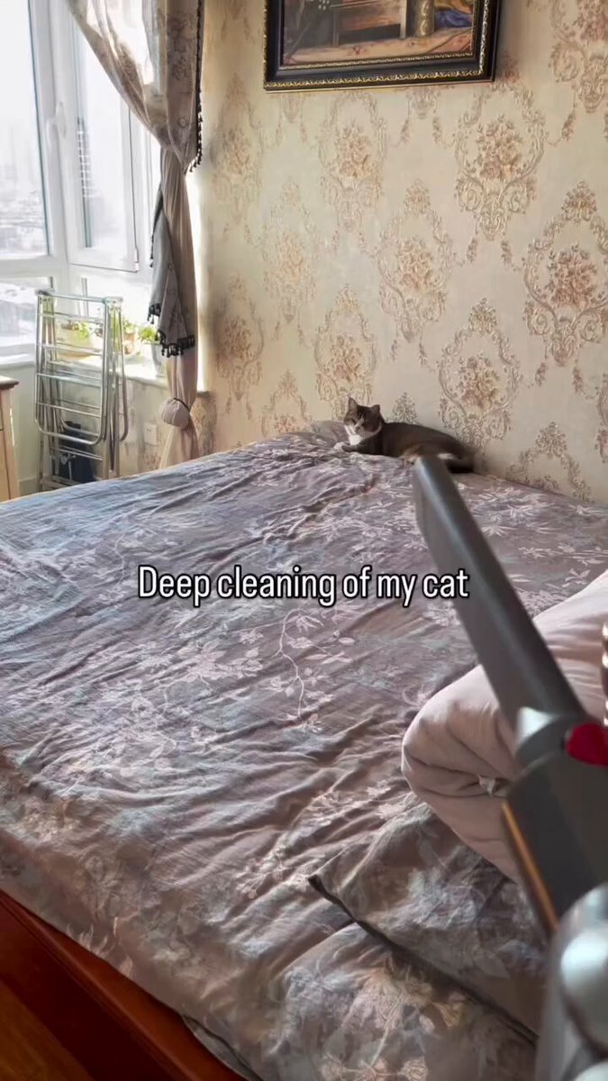 うっちー🍥 (@fujisan79) / Posts / X