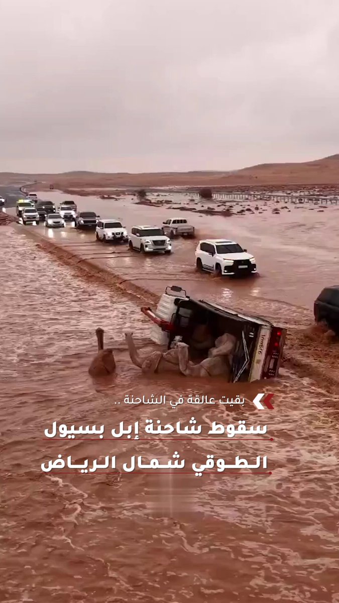 بقيت عالقة في الشاحنة.. سقوط شاحنة إبل بسيول الطوقي شمـال الرياض في المملكة العربية #السعودية 