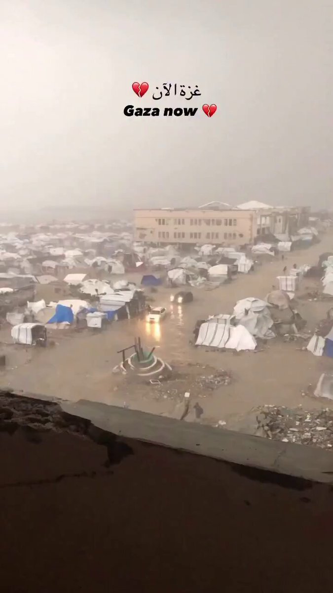 لمن يهمه الأمر.. كارثة إنسانية في غزة الان .. الخيام تتطاير والناس تبكي من قلة الحيلة والقهر 