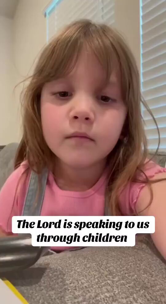 AmericanPapaBear&trade; (@AmericaPapaBear) on X