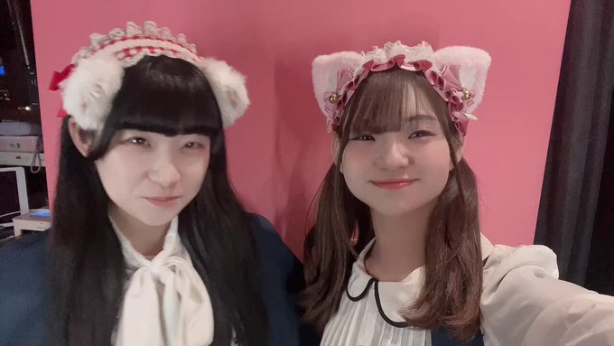 みけねこカフェ秋葉原店のツイート