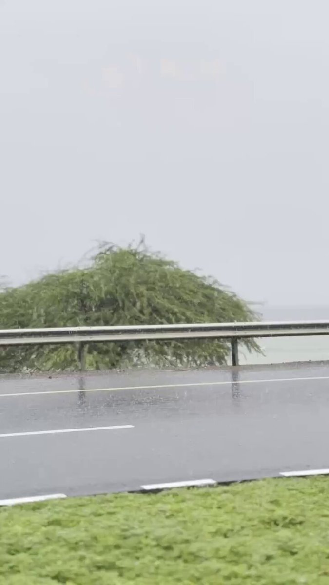 فيديو| أمطار على دبا الفجيرة 