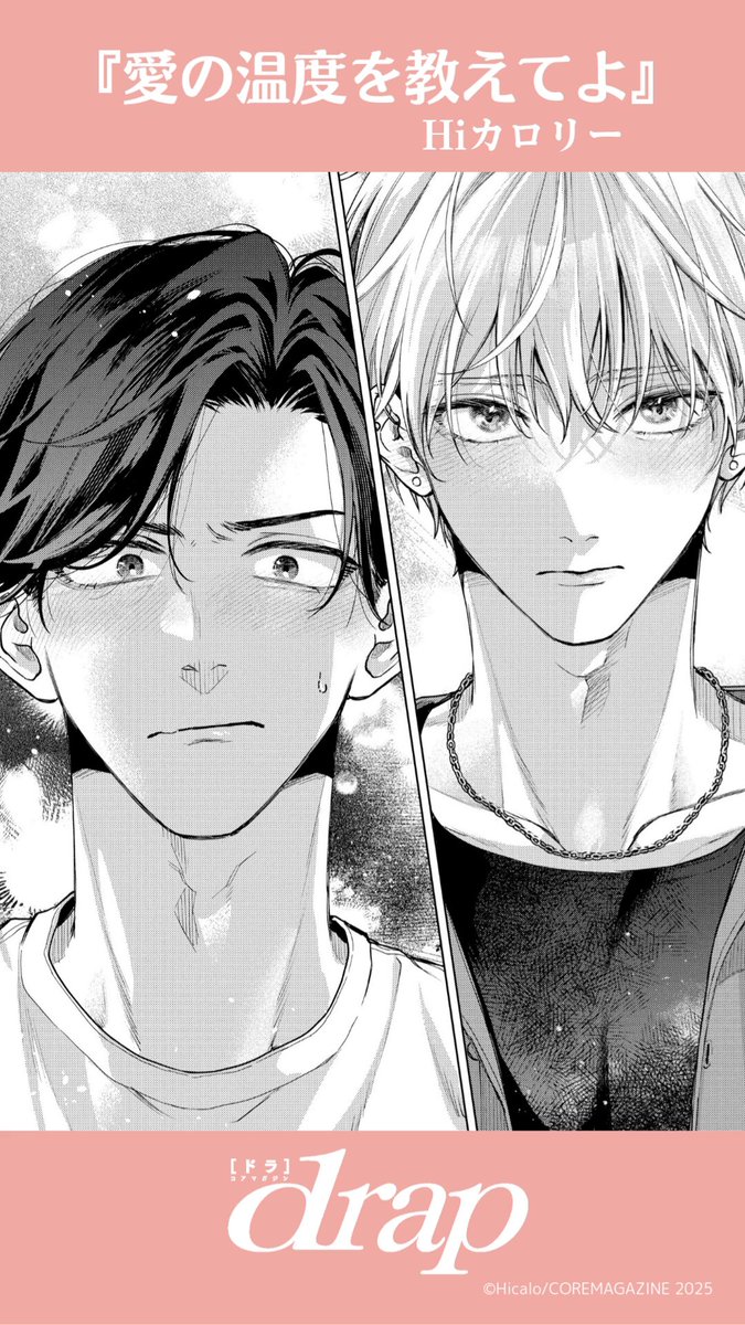 Hiカロリー (@Hi_calo_) / Posts / X