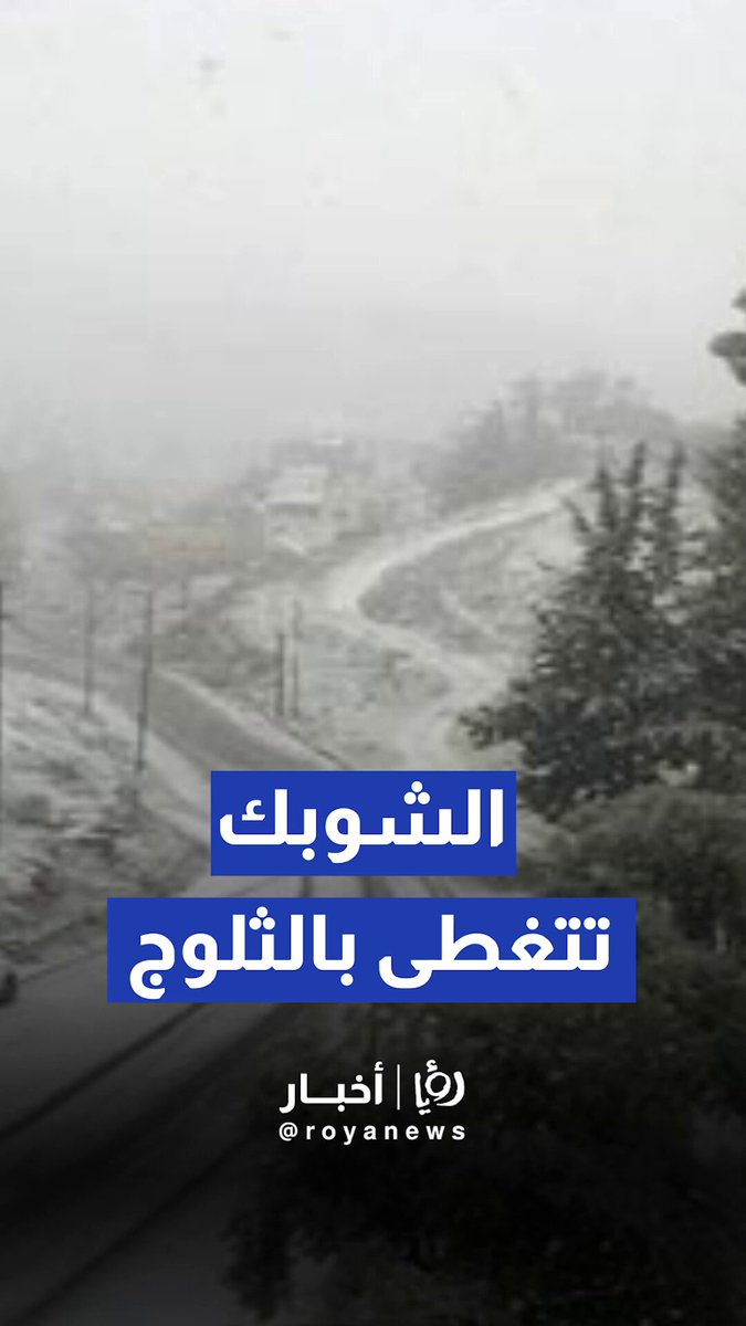 الهيشة في الشوبك تتغطى بالثلوج #رؤيا_أخبار 