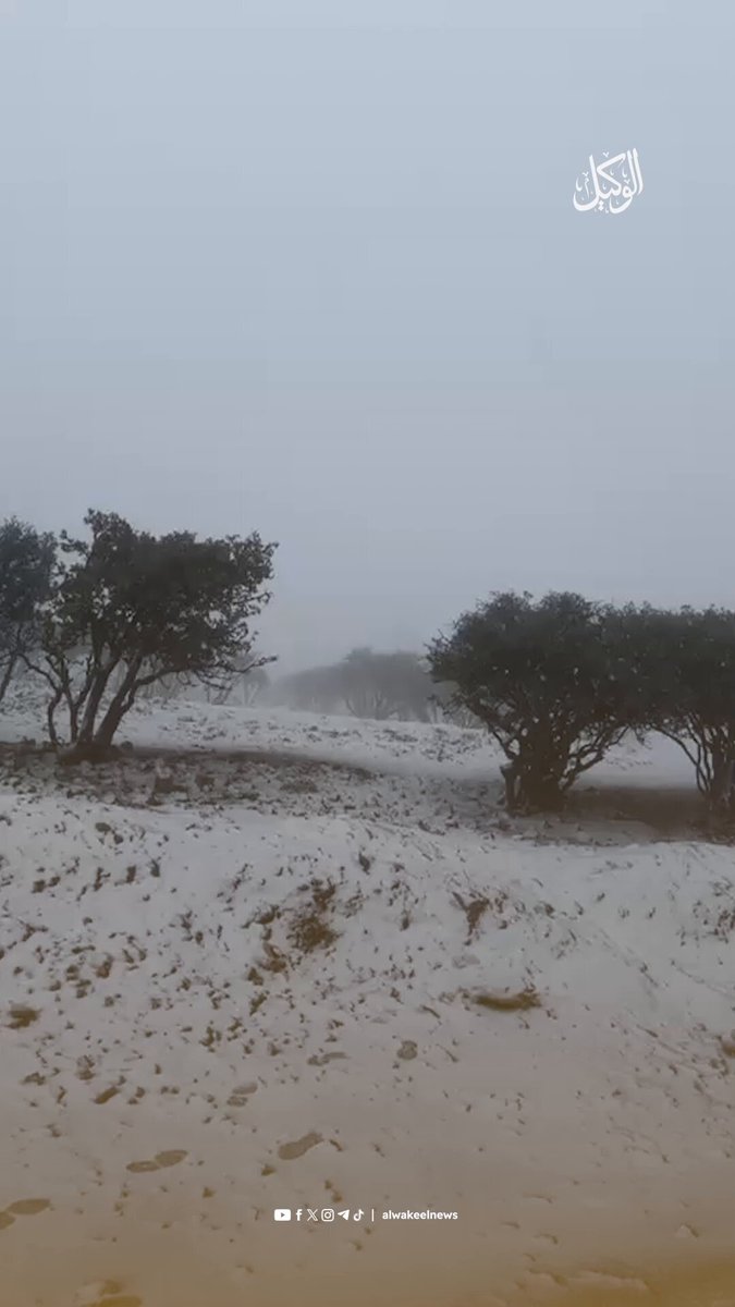 تراكم الثلوج في الشوبك #سوشال_الوكيل 