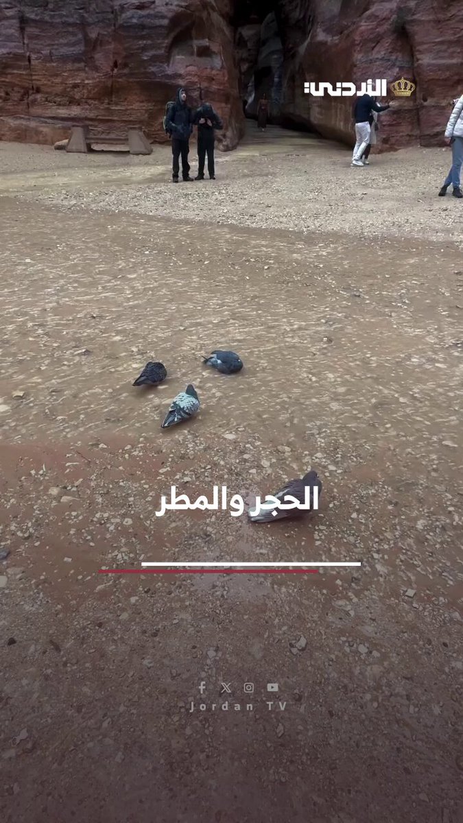 أمطار الخير والبركة في البترا #الأردن 