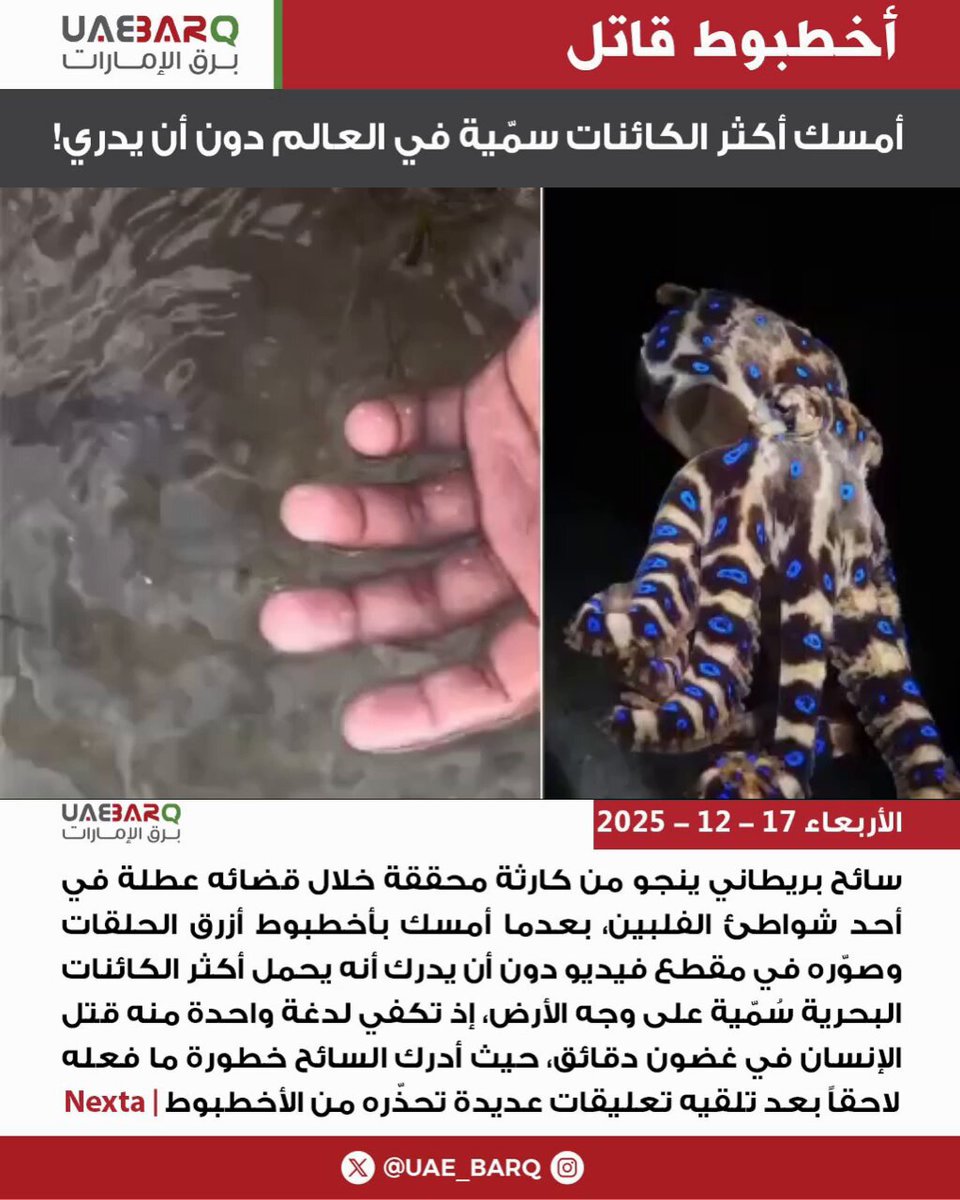 أمسك أكثر الكائنات سمّية في العالم دون أن يدري! | Nexta 