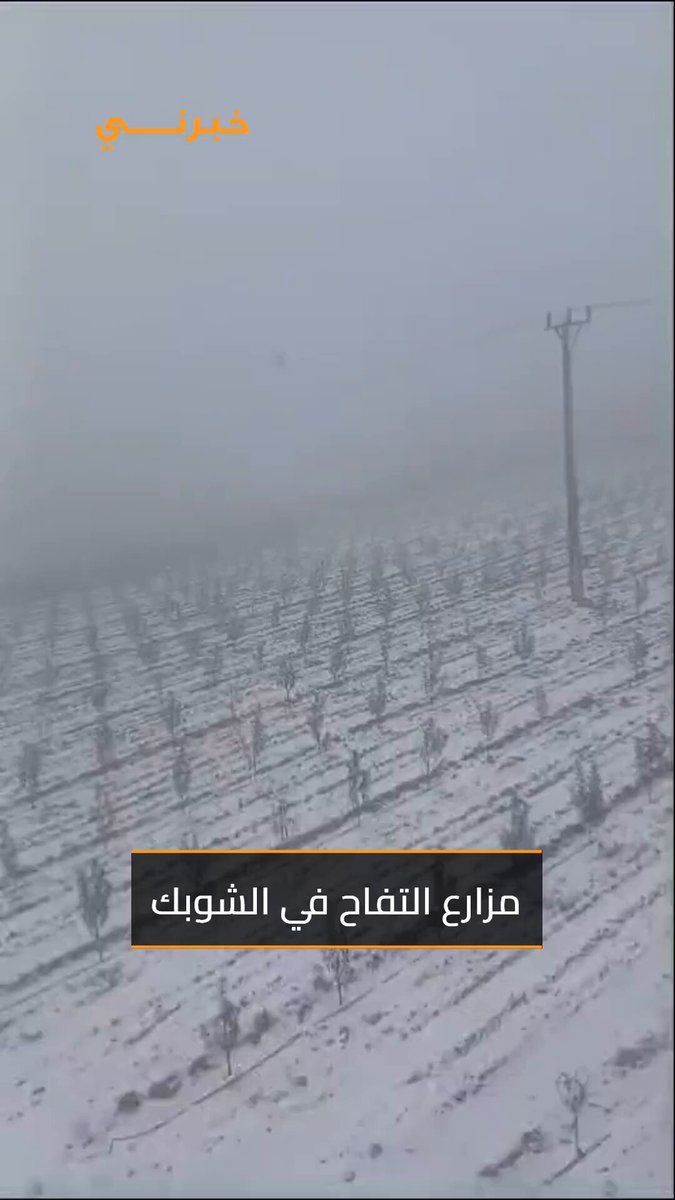 الأردن.. الثلج يكسو مزارع التفاح في الشوبك 