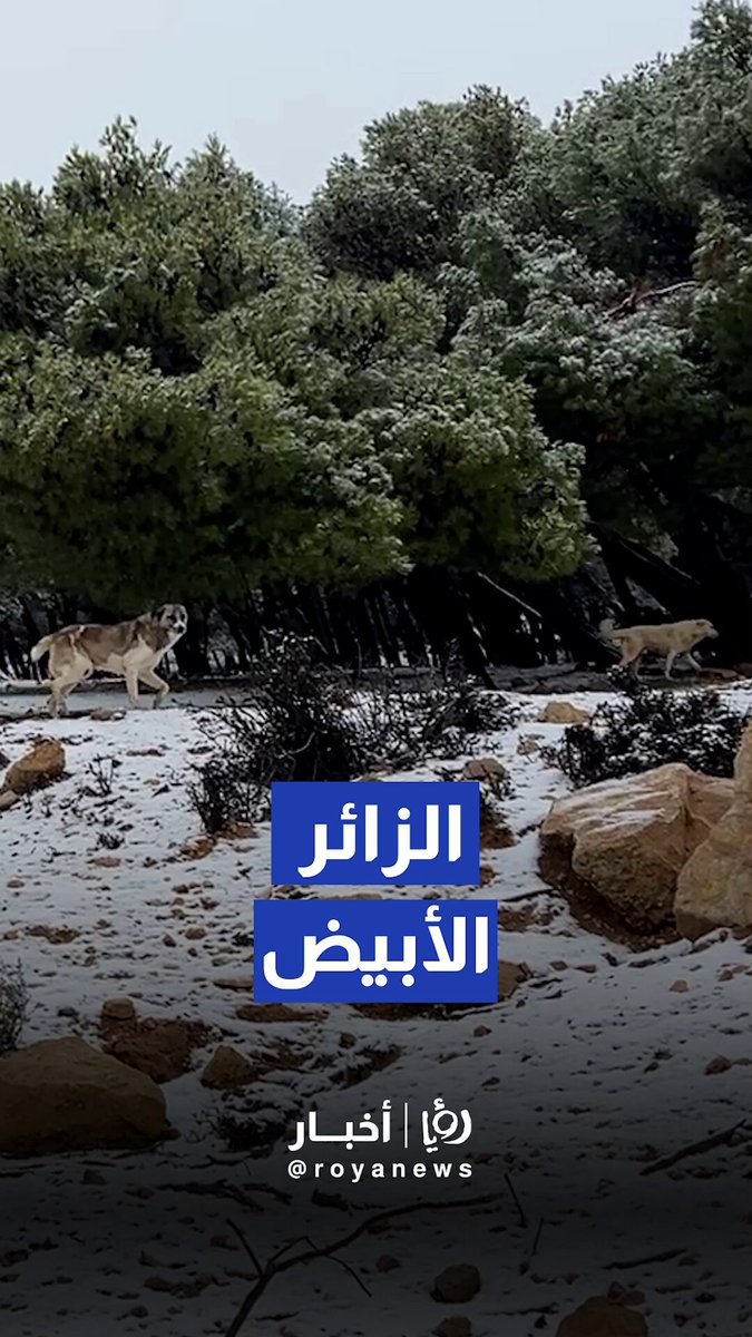 جبال الرشادية والقادسية تتزين بالثلوج 