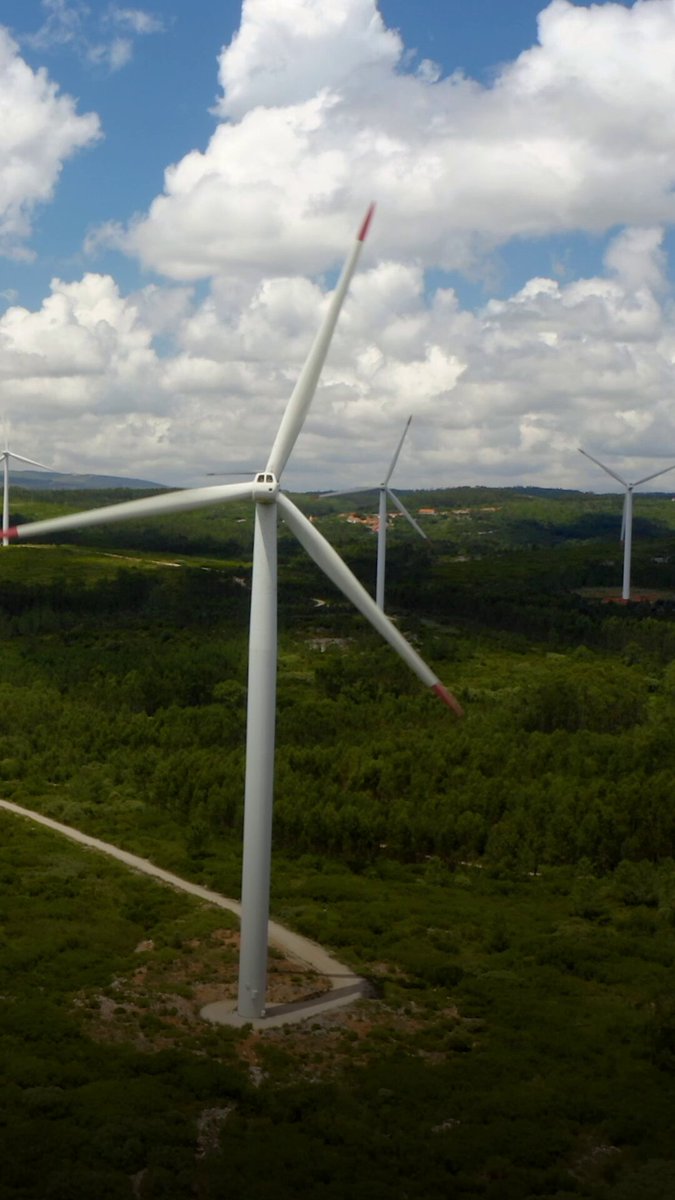 رغم الوعود «الخضراء».. العالم يعود إلى #الفحم 