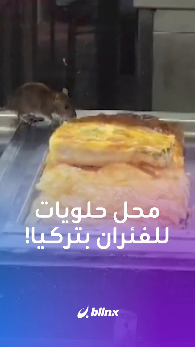 تركيا... مشاهد متداولة تظهر فئرانا تتجوّل داخل محل حلويات وتقتات من منتجاته #تركيا 