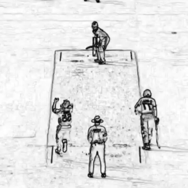 Only hardcore cricket fans can Picture