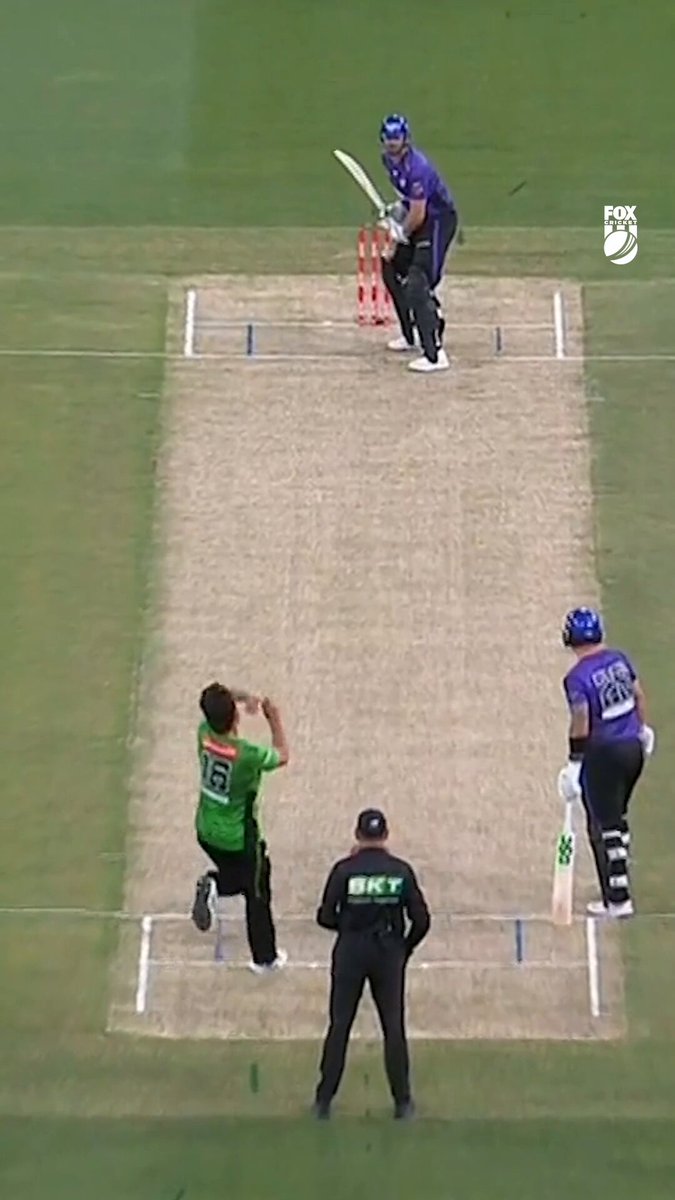 Marcus Stoinis saying ‘No Run’ Picture