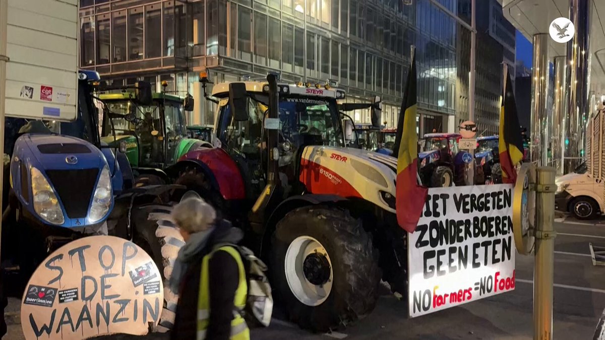 مزارعون يصلون إلى بروكسل احتجاجاً على الجمود في سياسات الزراعة الأوروبية، بالتزامن مع انعقاد قمة الاتحاد الأوروبي. أصواتهم ترتفع رفضاً للسياسات الحالية ومطالبةً بإصلاحات عاجلة 