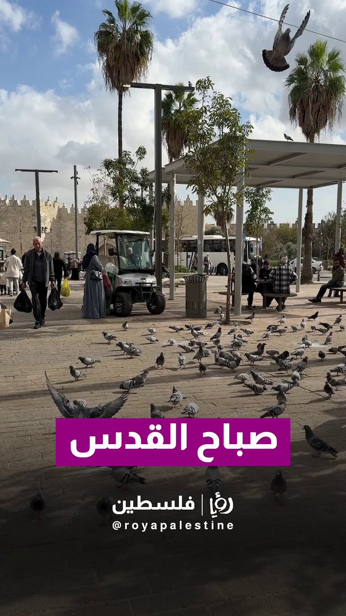 صباح مقدسي من شوارع وأحياء مدينة القدس. #رؤيا_فلسطين 