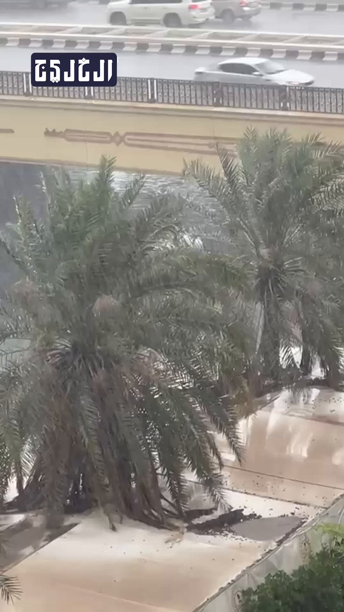 فيديو| أمطار الخير الغزيرة التي شهدتها الشارقة قبل قليل #صحيفة_الخليج 