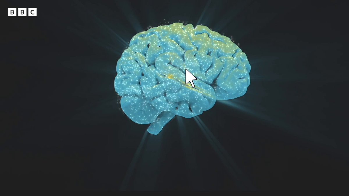 في اليوم العالمي للغة العربية، كيف يتعامل دماغنا مع القراءة، هل نولد ونقرأ بالفطرة؟ 