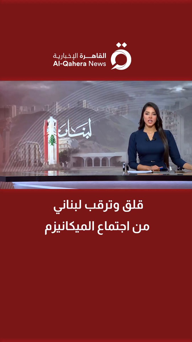 "يمهد لخطوات تطبيعية لا يرغب بها".. الكاتب الصحفي وليد الرمالي: لبنان يخشى اجتماع لجنة الميكانيزم 
