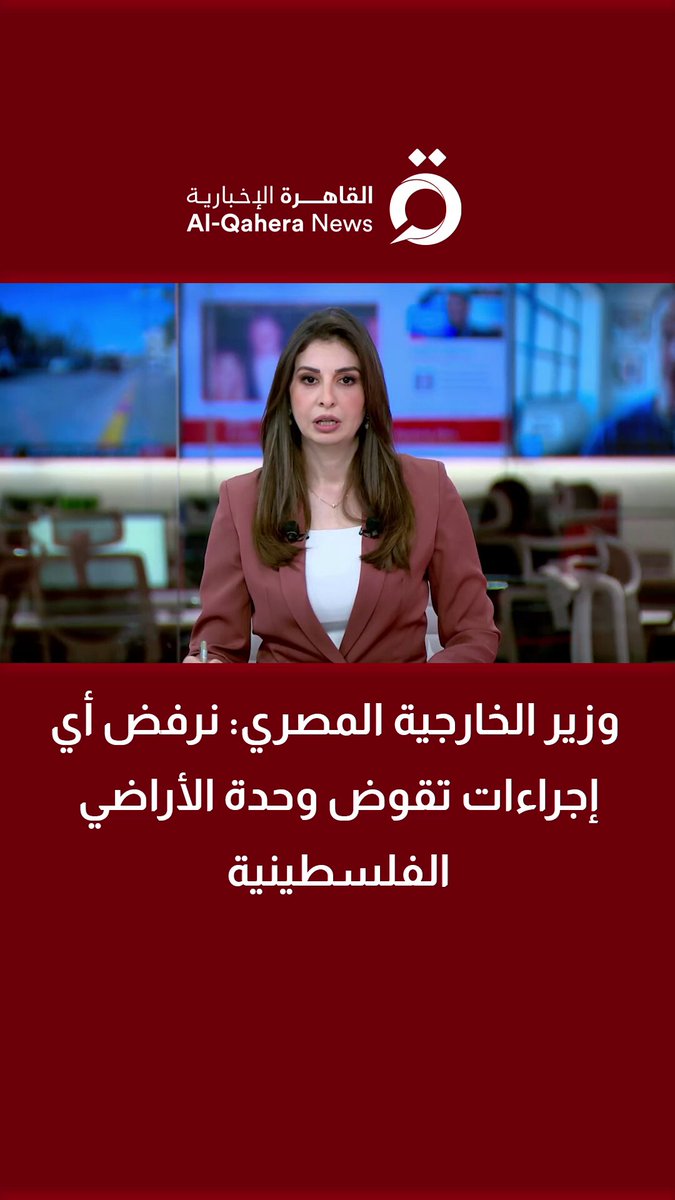 وزير الخارجية المصري: نرفض أي إجراءات تقوض وحدة الأراضي الفلسطينية 