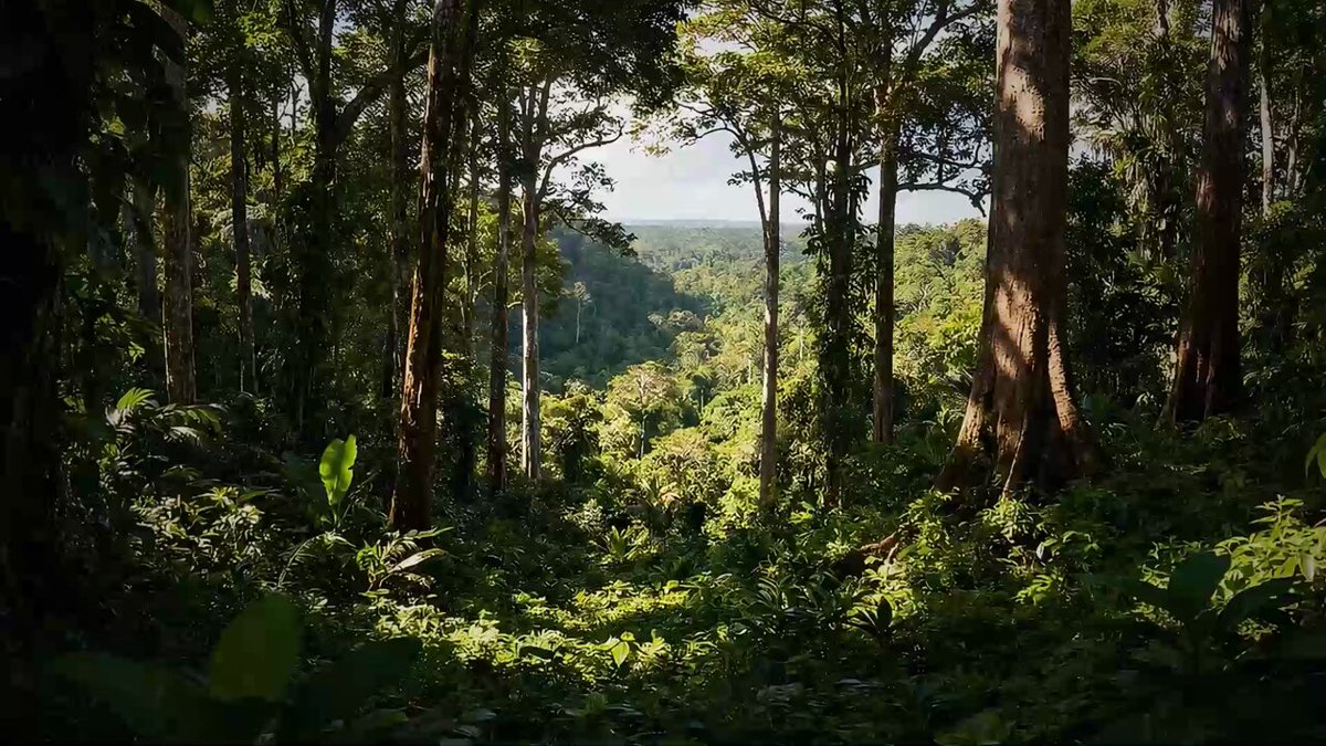 العدّ التنازلي بدأ.. كأس أمم أفريقيا في المغرب. سنكون هناك لتغطية كلّ اللحظات الحماسية.. "المشهد" تنقل كأس الأمم الإفريقية من قلب ملاعب المغرب إلى شاشاتكم ومنصّاتكم الرقمية، مع تغطية مباشرة، تحليلات متخصّصة، ومقابلات حصري. تابعونا 
