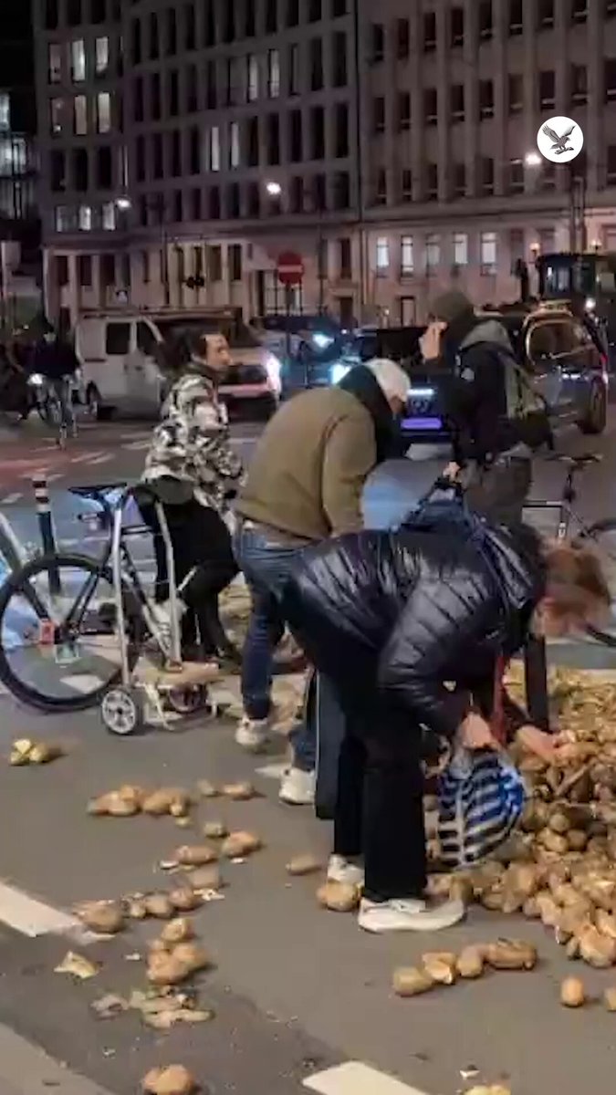 سكان في بروكسل يجمعون البطاطس الملقاه على الشرطة لاستخدامها في الطهي 