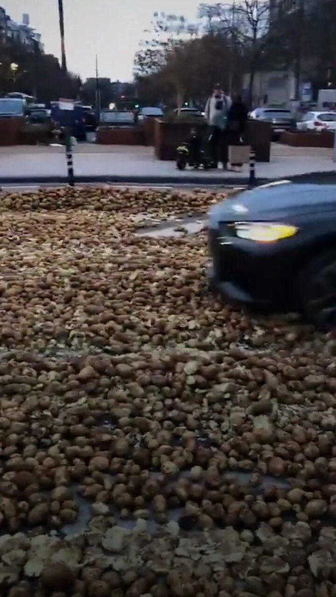 غضب المزارعين يحول بروكسل إلى بحر من البطاطا! #أخبار_المشهد 