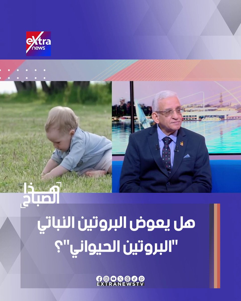 هل يعوض البروتين النباتي "البروتين الحيواني"؟ #هذا_الصباح 