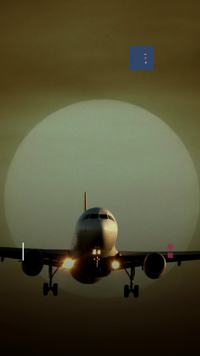 غوغل تحذر موظفيها: لا تغادروا #أميركا 