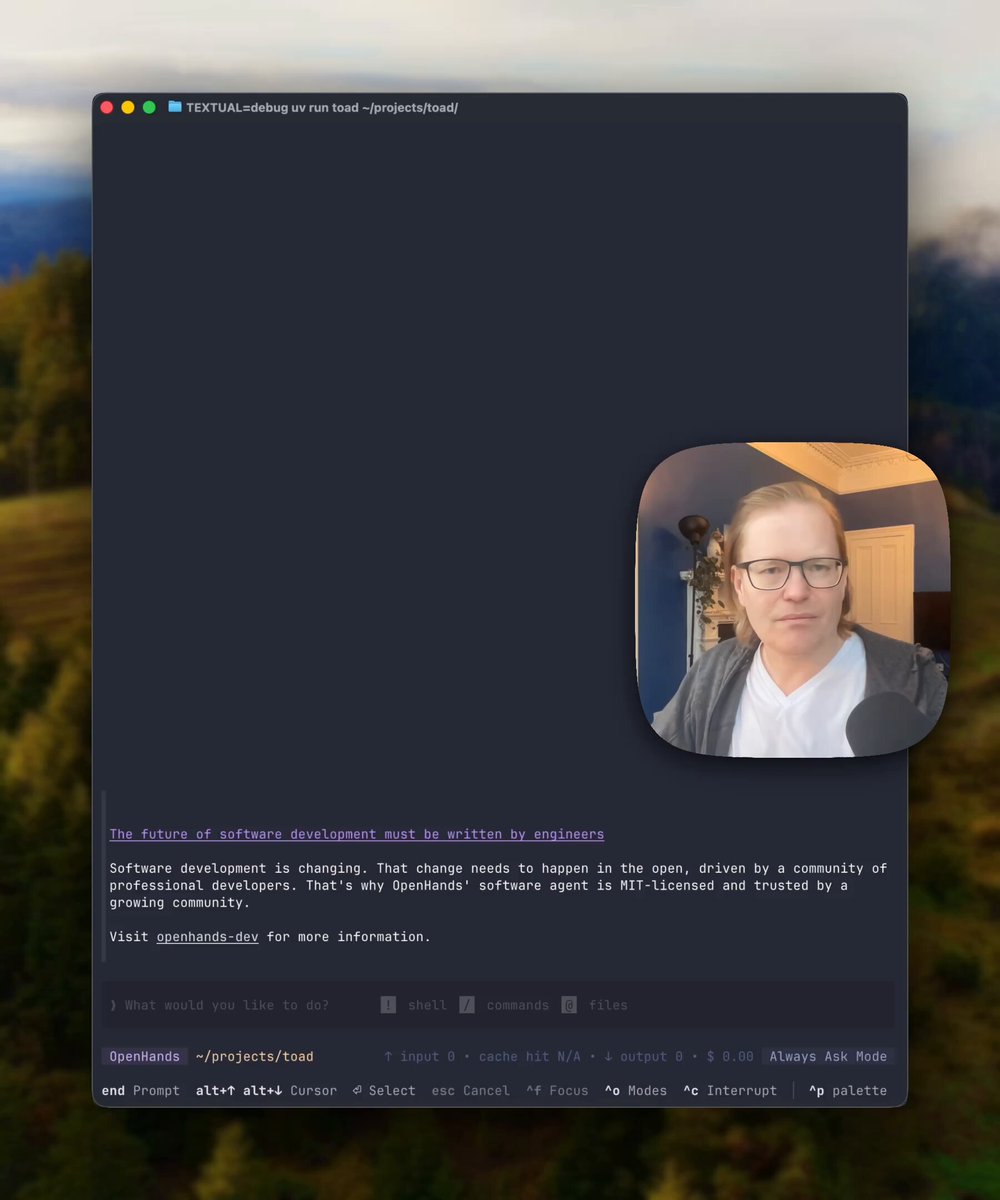 Toad minimal UI settings demo