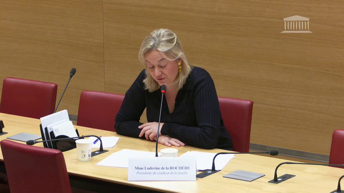 Image for the Tweet beginning: La chute de la natalité,