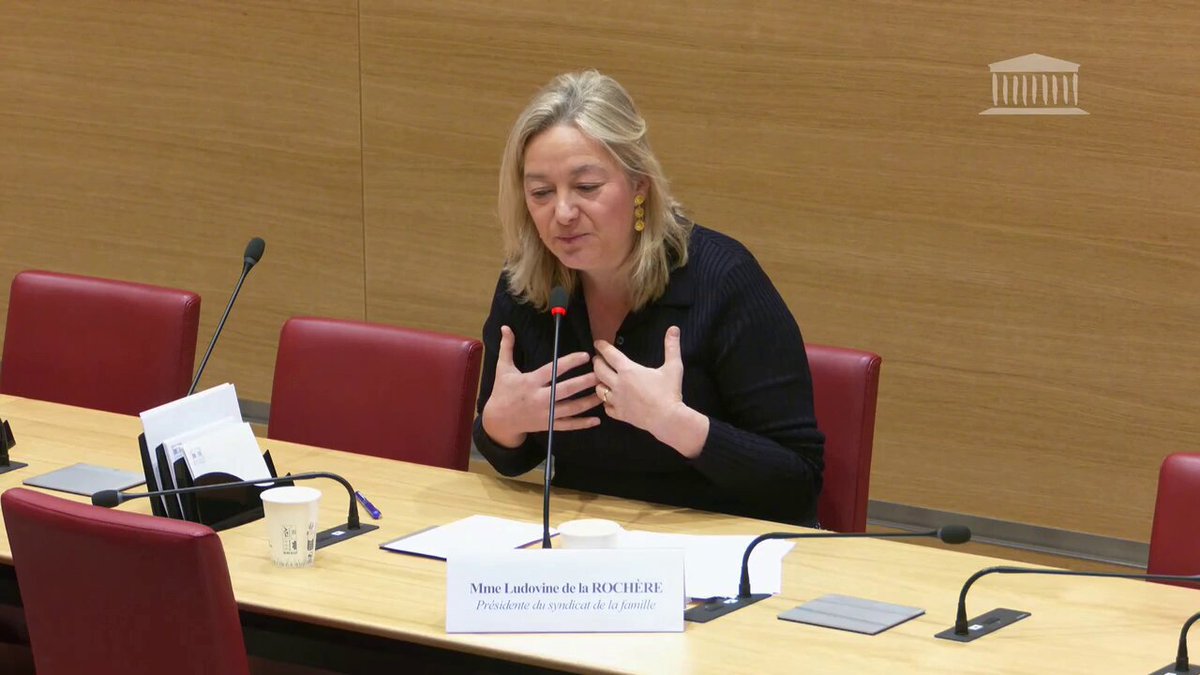 Image for the Tweet beginning: Audition du @SyndicatFamille à l'@AssembleeNat