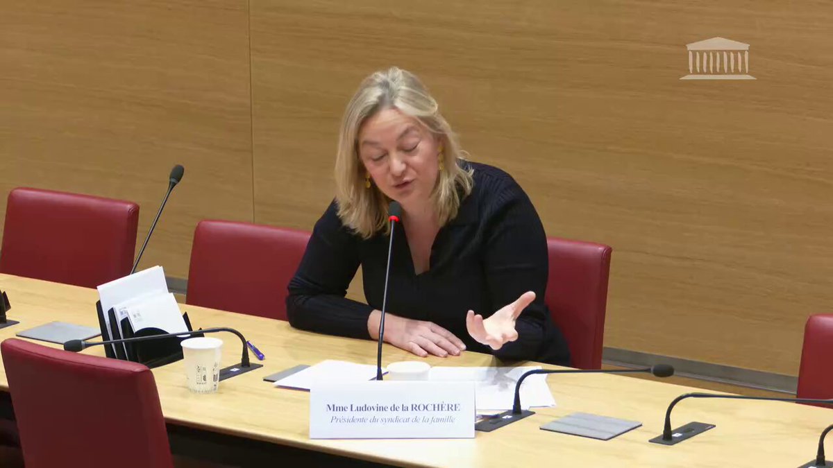 Image for the Tweet beginning: Audition du @SyndicatFamille à l'@AssembleeNat

Il