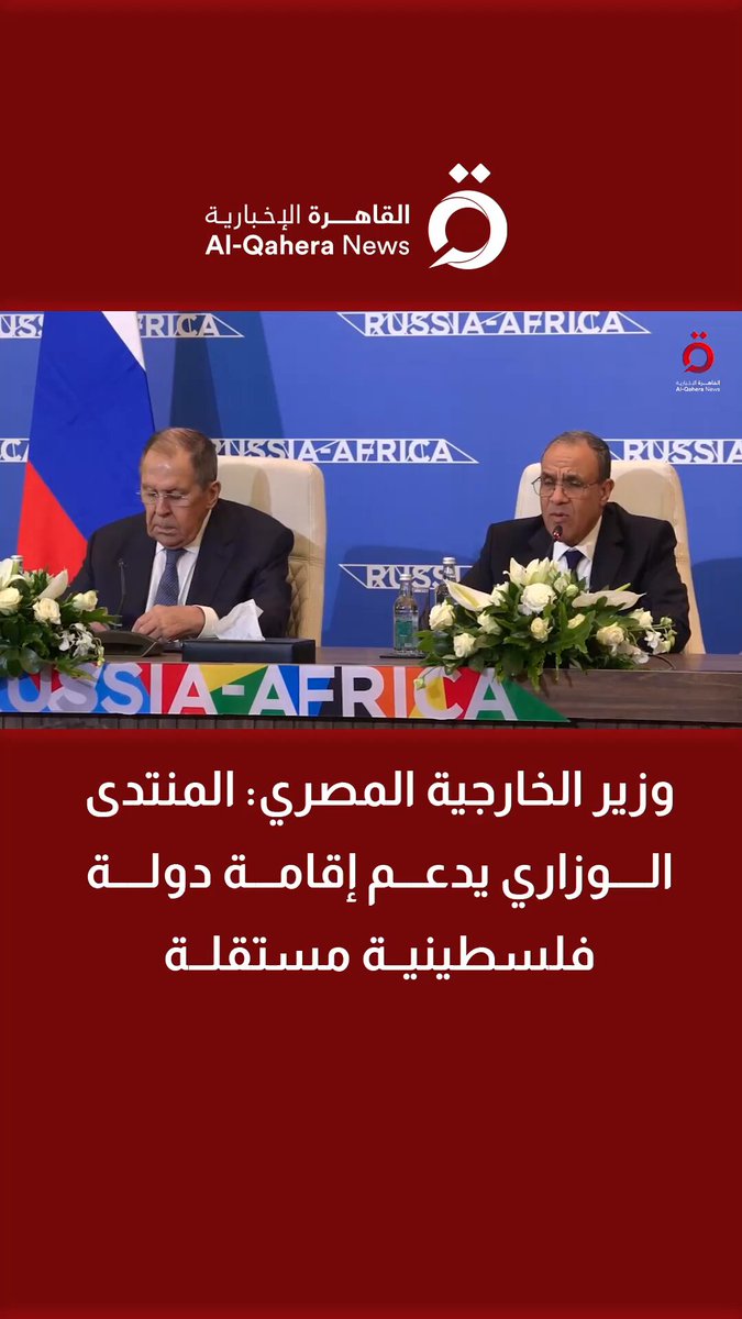 وزير الخارجية المصري: حل الدولتين الطريق لتحقيق السلام العادل والشامل في فلسطين 