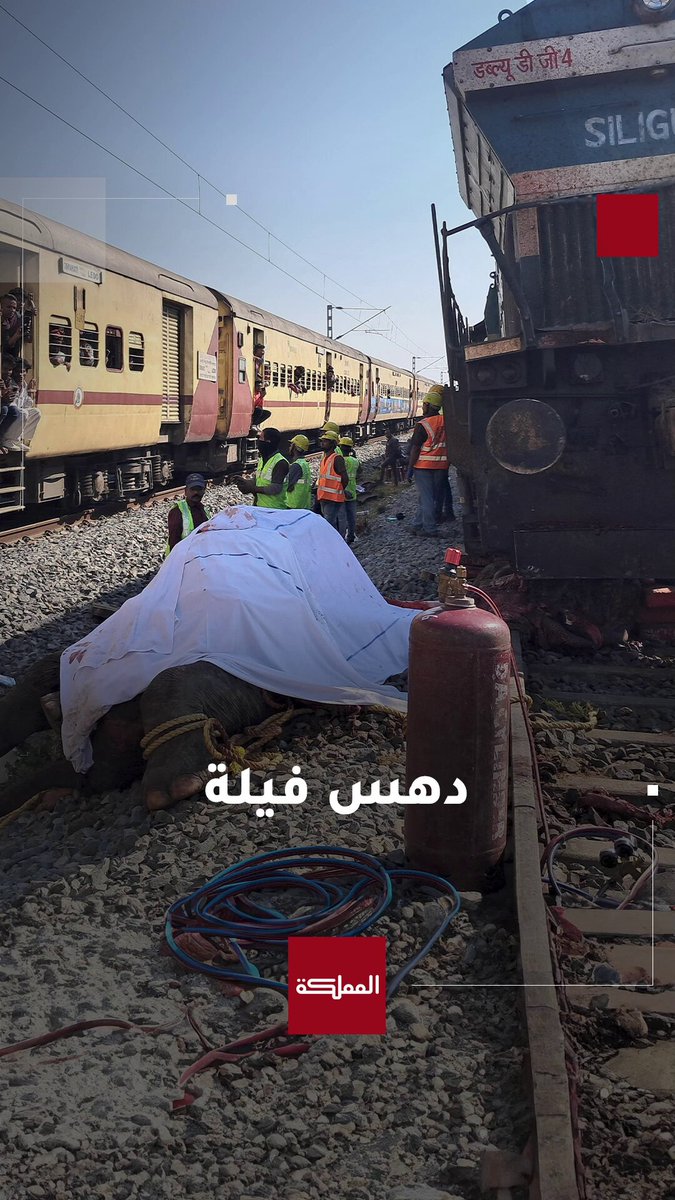 نفوق 7 فِيلة إثر اصطدامها بقطار ركاب فائق السرعة بالهند #الهند 