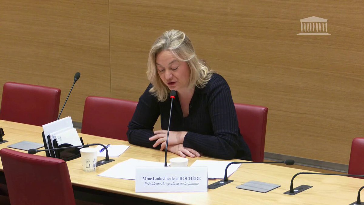 Image for the Tweet beginning: Audition du @SyndicatFamille à l'@AssembleeNat

En