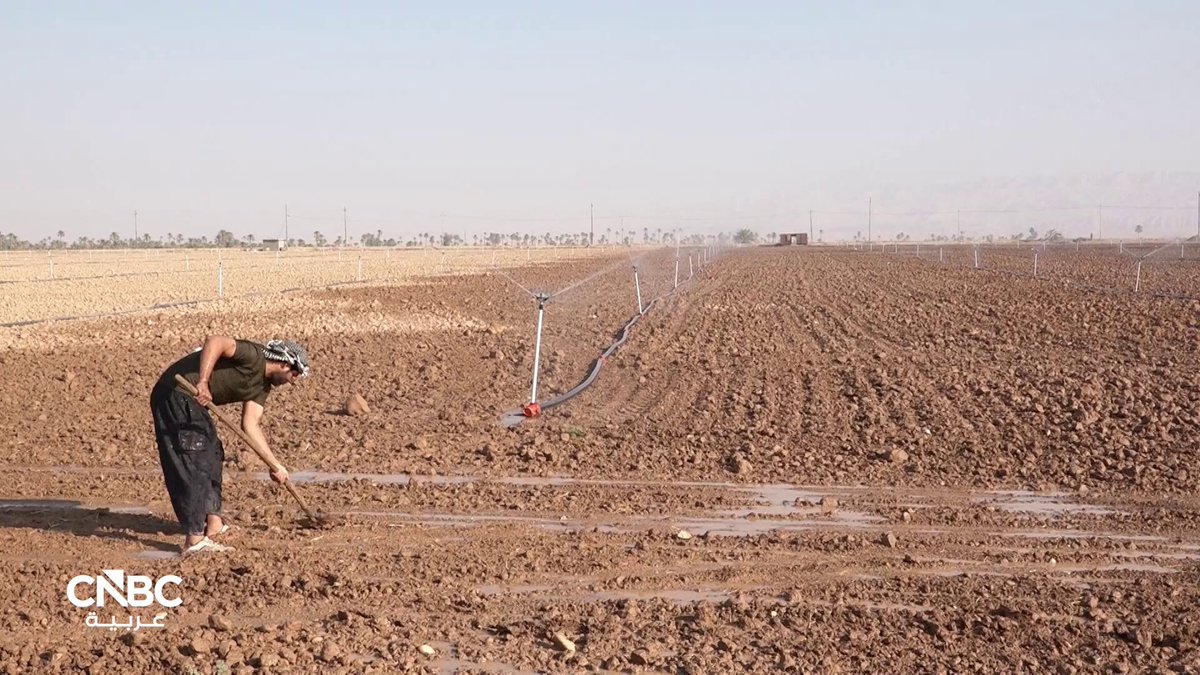نحو الزراعة الحديثة.. أزمة المياه تعيد رسم خريطة الزراعة في العراق 