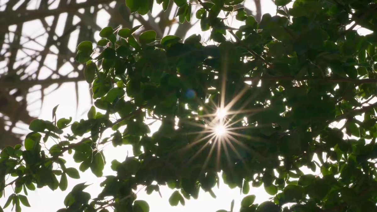فيديو| الرئيس الفرنسي إيمانويل ماكرون، يرافقه خالد بن محمد بن زايد يزور متحف زايد الوطني.. ويطلع على أبرز معروضاته وأقسامه التي تضم مقتنيات نادرة تعكس إرث المغفور له #الشيخ_زايد 