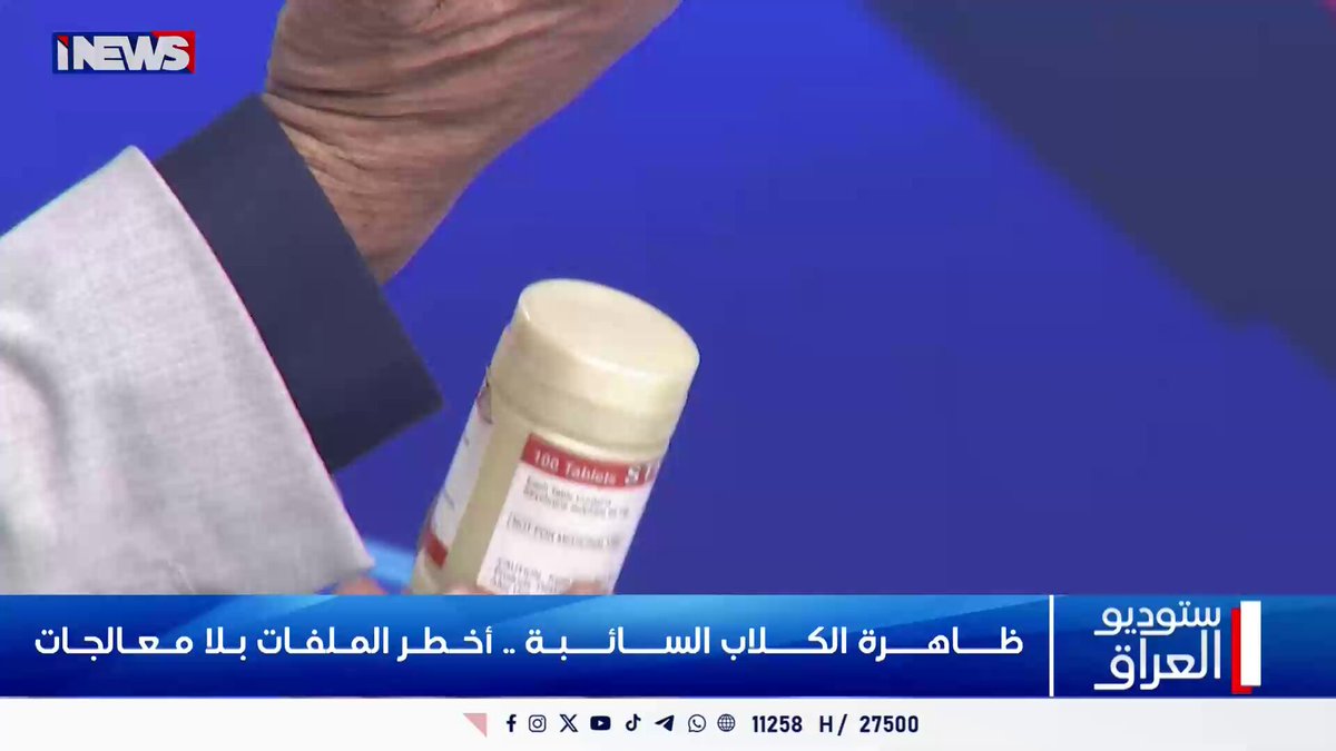 وفق قانون الصحة الحيوانية.. طبيب بيطري يوضح آلية سليمة للتعامل مع الكلاب السائبة اي نيوز ستوديو العراق عزت المعموري ح.ع 