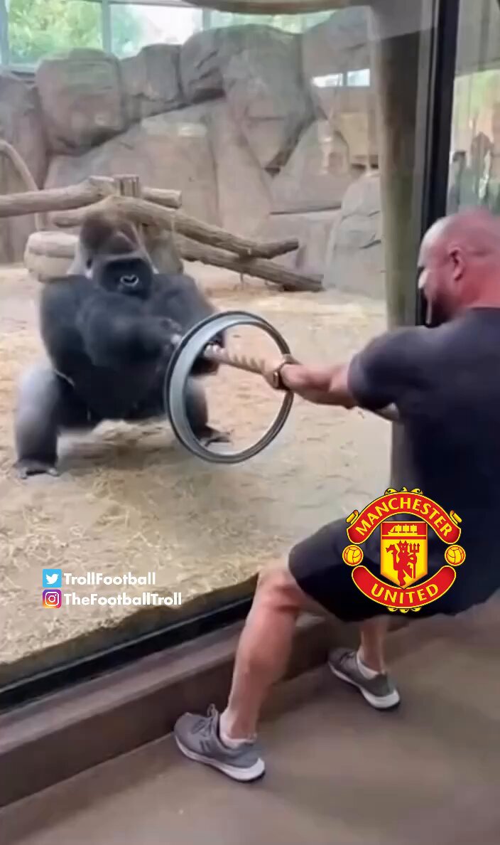 What Morgan Rogers is doing to Man United

https://t.co/RJIcwyaOC3