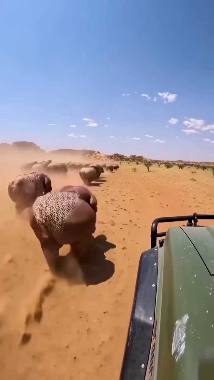 𝕺𝖑𝖎𝖛𝖊𝖗 𝕿𝖜𝖎𝖘𝖙 (@olvrtwst) on X