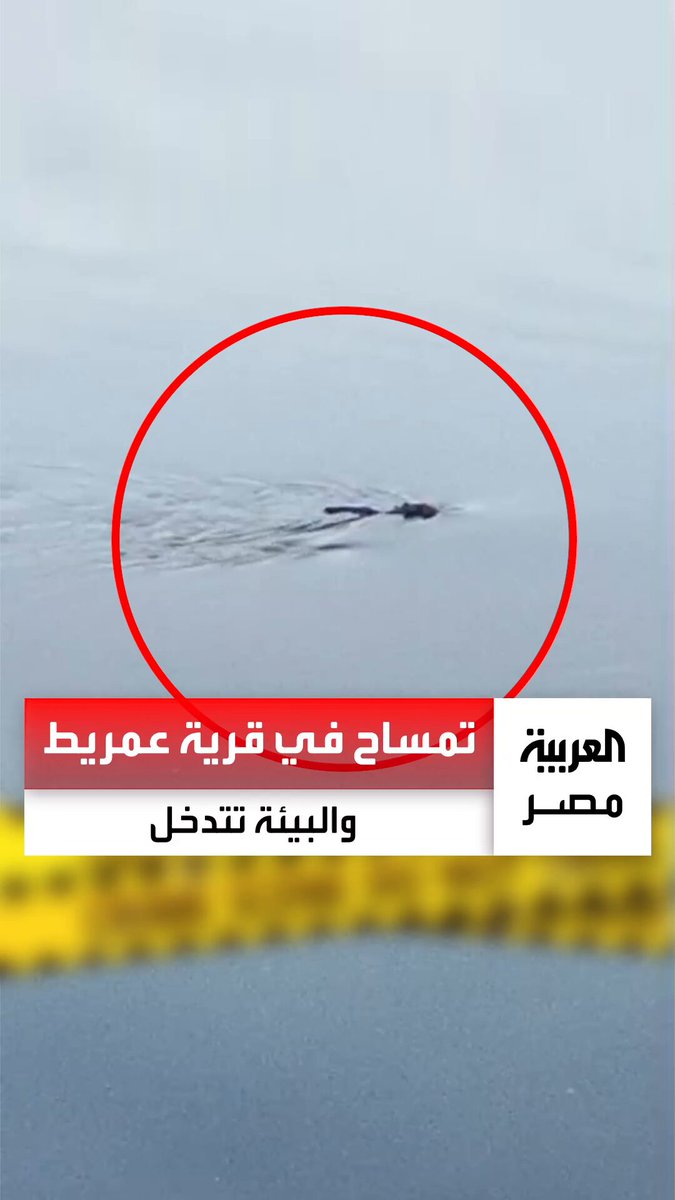 أهالي قرية عمريط بعد رصدهم تمساحاً بالمصرف: كبير الحجم وطوله نحو مترين ونصف.. وجهاز شؤون البيئة بالشرقية يتدخل _مصر 