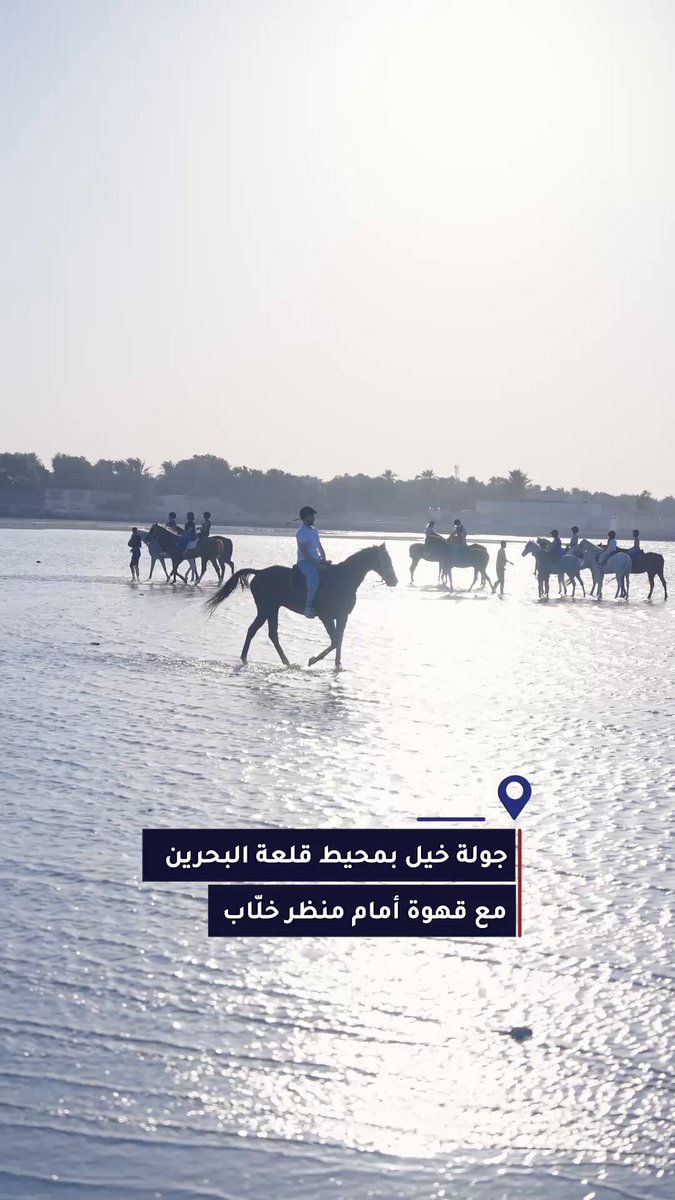 جولات وتدريب على الخيل بمحيط قلعة البحرين مع قهوة وإطلالة خلّابة في تجربة لا تُنسى 