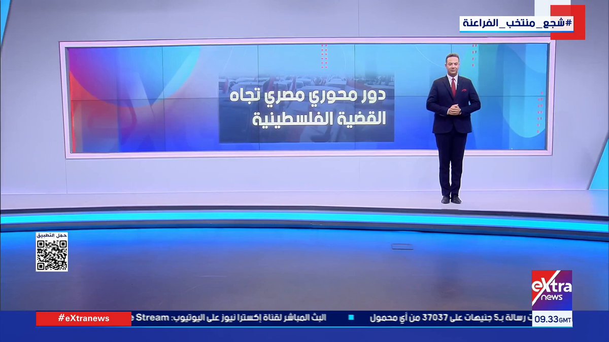 دور محوري مصري تجاه القضية الفلسطينية 