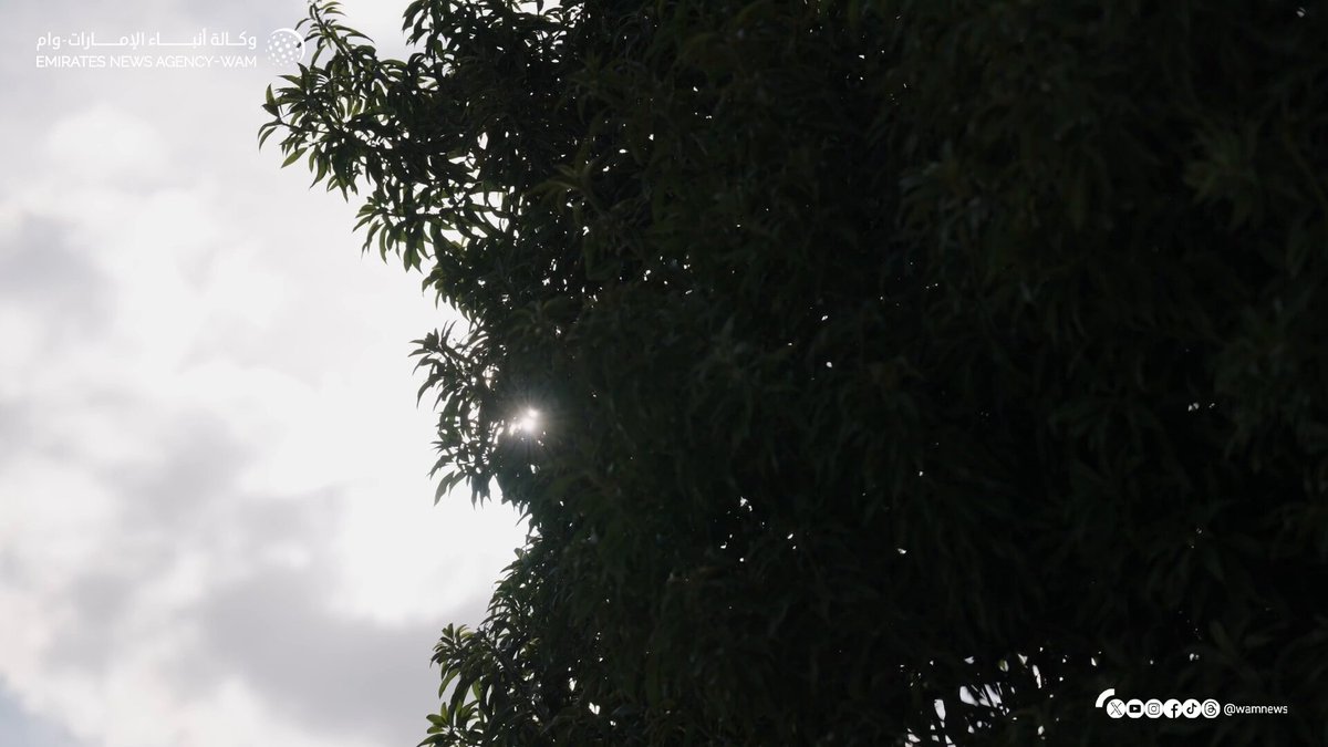 رئيس الدولة يستقبل ولي عهد عجمان #وام 