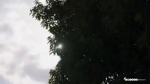 فيديو| رئيس الدولة يستقبل ولي عهد عجمان بقصر البحر في أبوظبي.. ويبحثان قضايا تهم الوطن والمواطن 